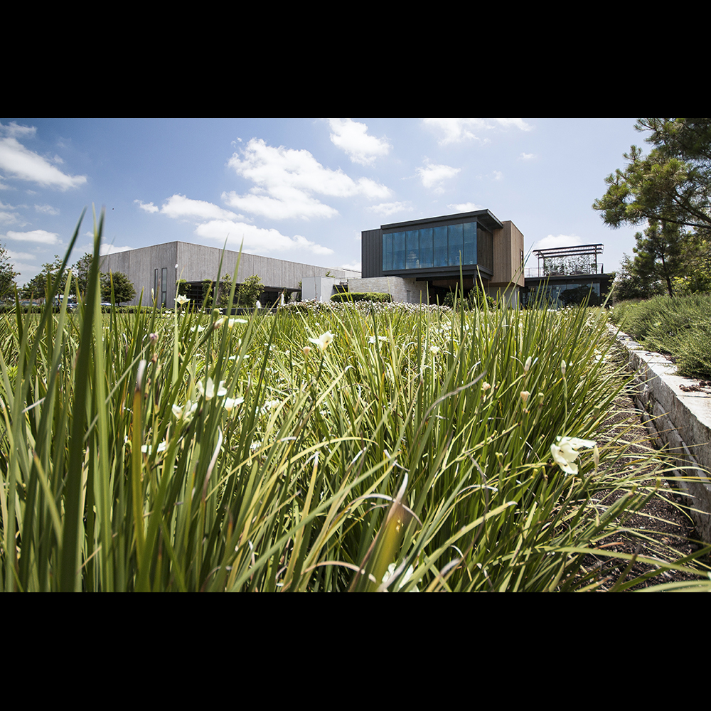 Verdant Landscape Design Build, Landscape Design College Station Tx